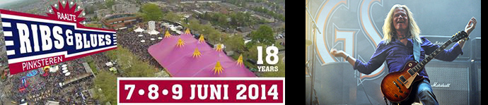 Ribs & Blues 2014