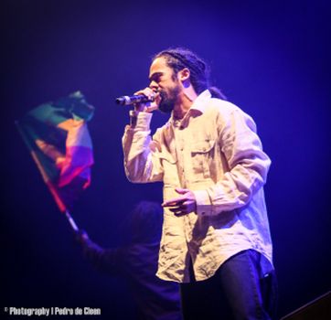 reggae geel damian bigger