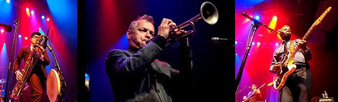 New Cool Collective & Mark Reilly