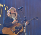 The Common Linnets