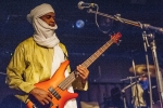 bombino2