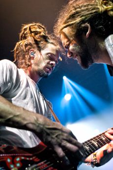Soja 
